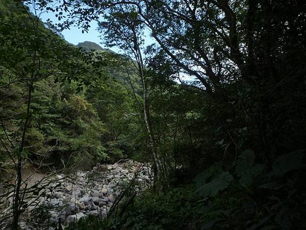 紅河谷越嶺古道熊空段.加九嶺 039