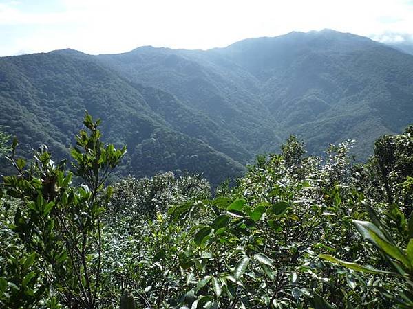 紅河谷越嶺古道熊空段.加九嶺 063