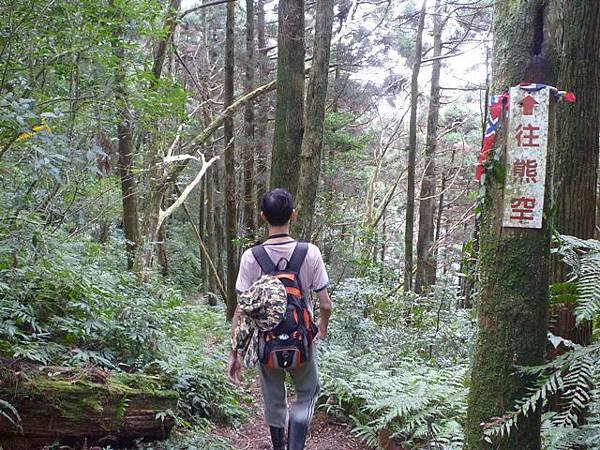 紅河谷越嶺古道熊空段.加九嶺 104