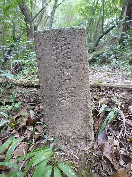 紅河谷越嶺古道熊空段.加九嶺 111