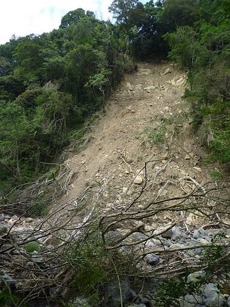 紅河谷越嶺古道熊空段.加九嶺 130