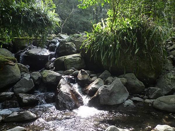 紅河谷越嶺古道熊空段.加九嶺 136