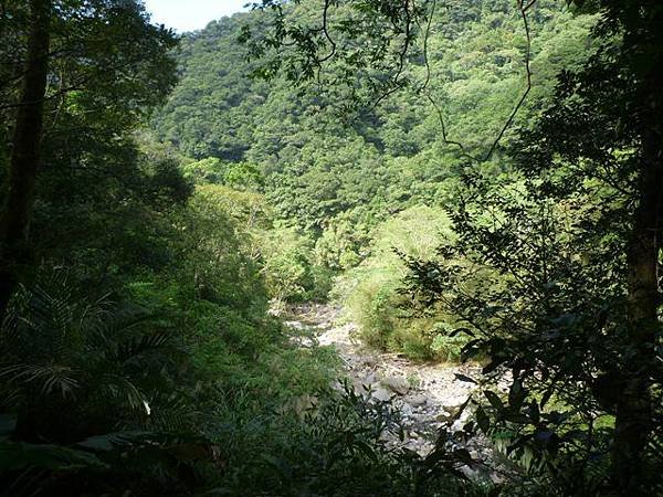 紅河谷越嶺古道熊空段.加九嶺 139