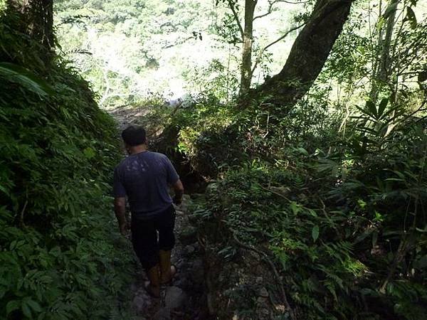 紅河谷越嶺古道熊空段.加九嶺 141