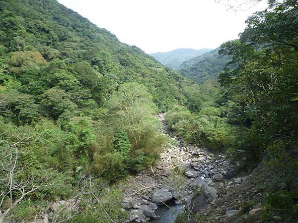 紅河谷越嶺古道熊空段.加九嶺 143