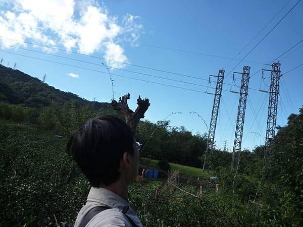 蘇厝山未遇.鳶山.鳶尾山.福德坑山.福德坑山東峰 038