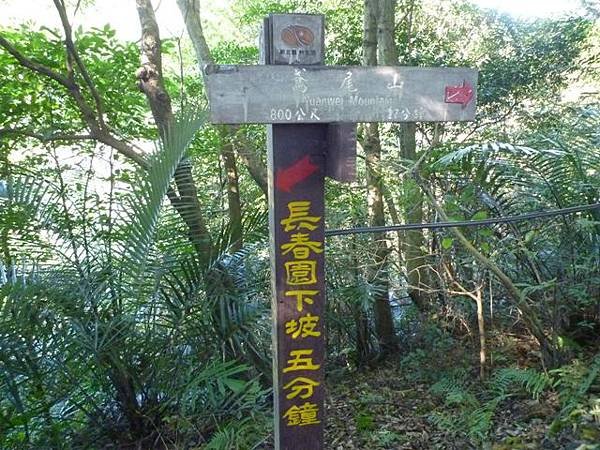 蘇厝山未遇.鳶山.鳶尾山.福德坑山.福德坑山東峰 136