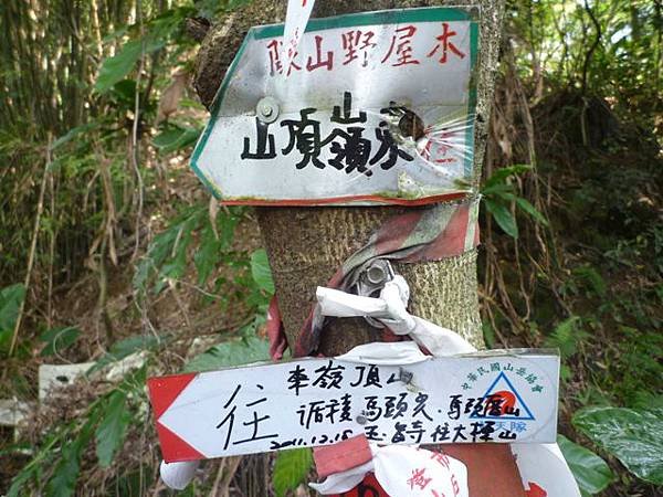 東嶺頂山.新朝嶺山 016