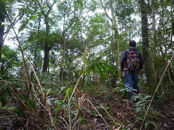 小坑山.磺窟石砌百年土地公廟.礦窟聚落 080