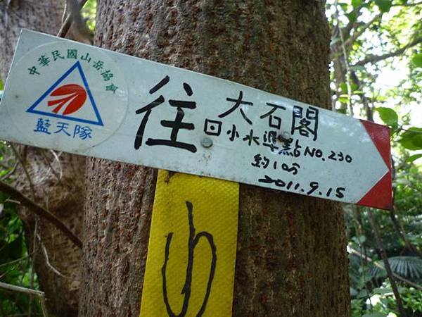 平菁街42巷櫻花.大坪尾山.尾崙山.大石閣小水準點.烏來福山櫻花.猴洞尖.鹿鵠崙 137