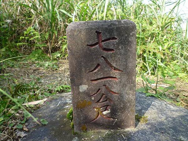 平菁街42巷櫻花.大坪尾山.尾崙山.大石閣小水準點.烏來福山櫻花.猴洞尖.鹿鵠崙 211