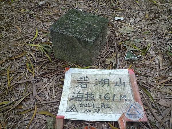 碧湖山.金面山.剪刀石山.公館自來水博物館河津櫻 038