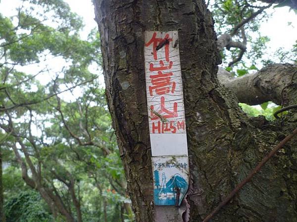 碧湖山.金面山.剪刀石山.公館自來水博物館河津櫻 059