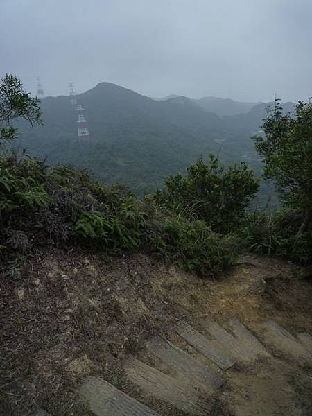 碧湖山.金面山.剪刀石山.公館自來水博物館河津櫻 064