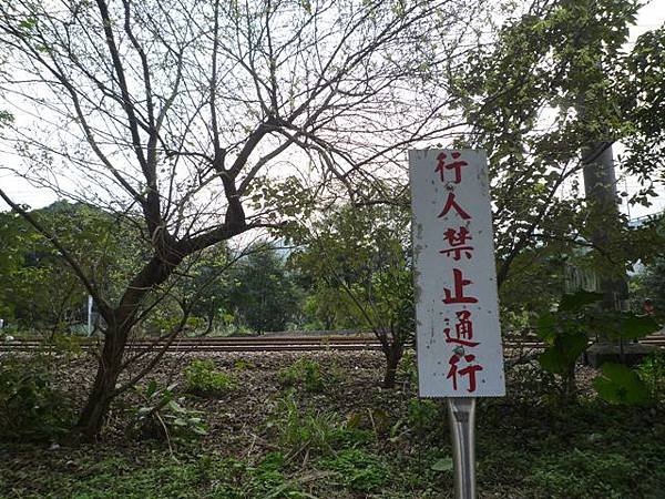 大坑埔山.鳥嘴尖.紅淡山 045