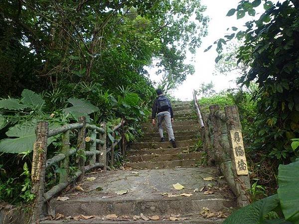 木柵國小御大禮記念樹.樟樹步道魯冰花.老泉里杏花林.樟湖山 016