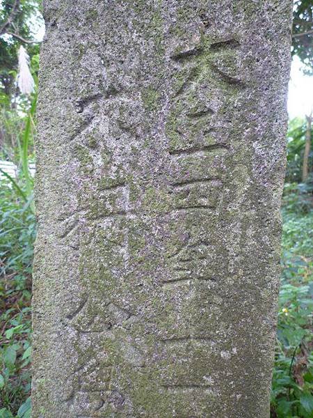 木柵國小御大禮記念樹.樟樹步道魯冰花.老泉里杏花林.樟湖山 036