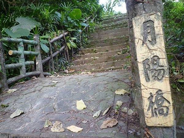 木柵國小御大禮記念樹.樟樹步道魯冰花.老泉里杏花林.樟湖山 044