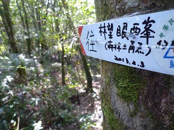林望眼山.林望眼山西峰.馬岸古圳步道 079