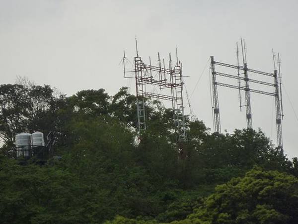 台大賞杜鵑.芳蘭山 122