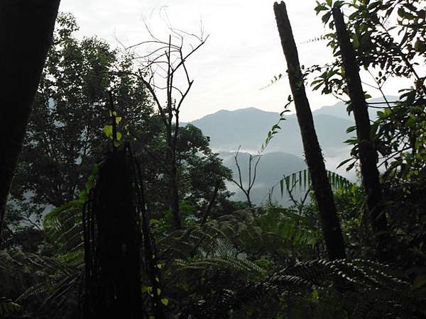 烏來下阿玉山 046