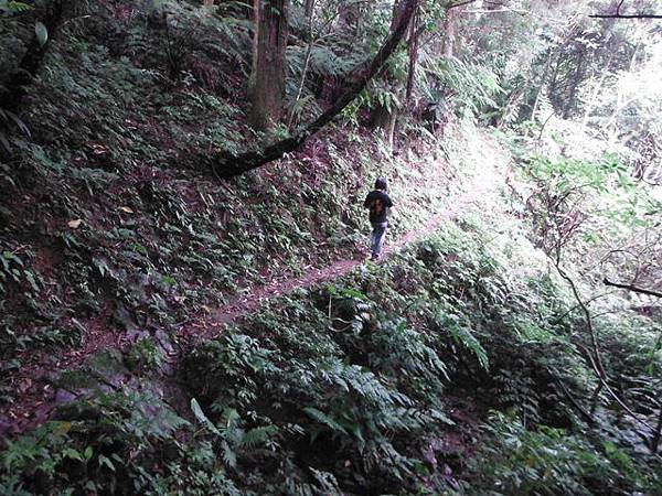 倒吊蓮山 030