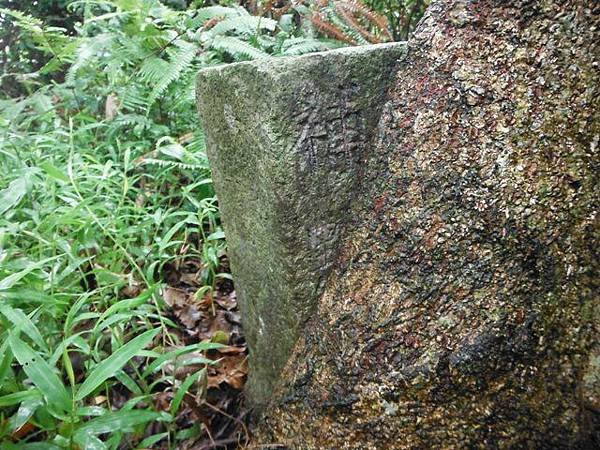 祖眉坑山 043