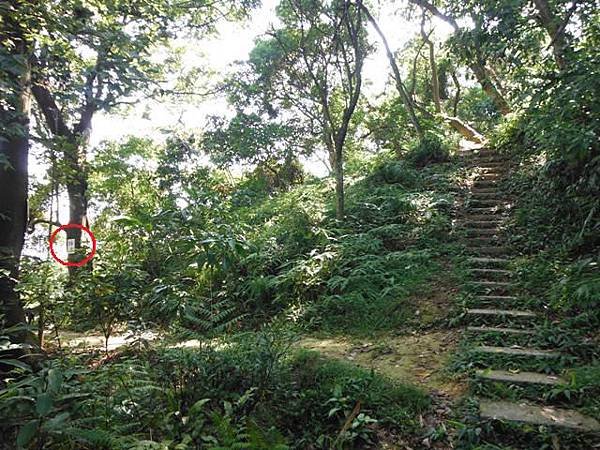 挖仔山.南勢角山.烘爐地福德宮 022