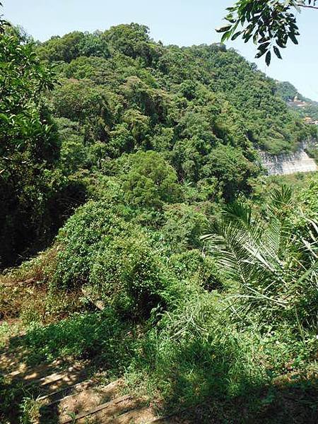 挖仔山.南勢角山.烘爐地福德宮 078