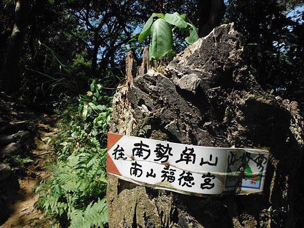 挖仔山.南勢角山.烘爐地福德宮 081