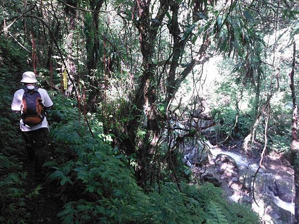 紅河谷越嶺古道紅河谷段 086