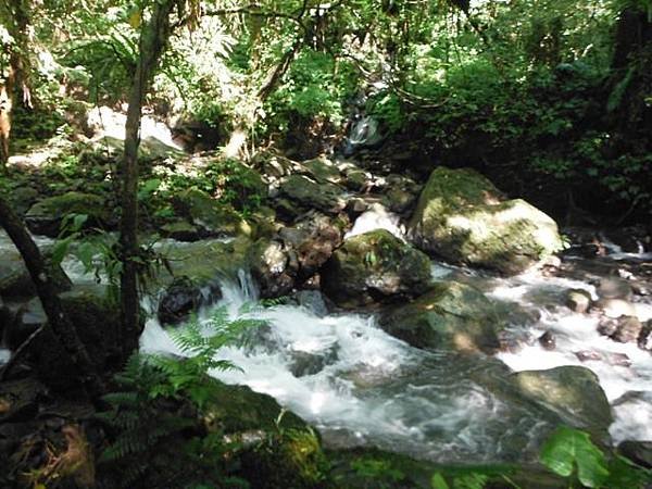 紅河谷越嶺古道紅河谷段 093