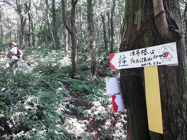 紅河谷越嶺古道紅河谷段 117