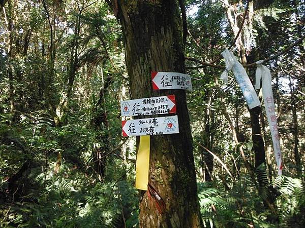 紅河谷越嶺古道紅河谷段 120