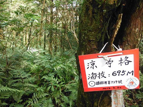 紅河谷越嶺古道紅河谷段 138