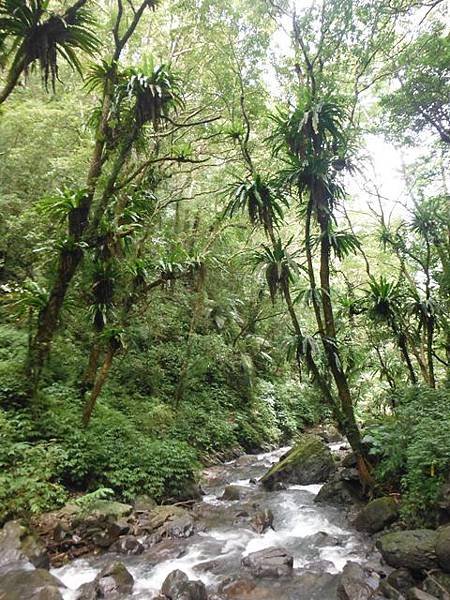 紅河谷越嶺古道紅河谷段 169