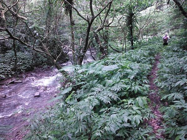 紅河谷越嶺古道紅河谷段 183