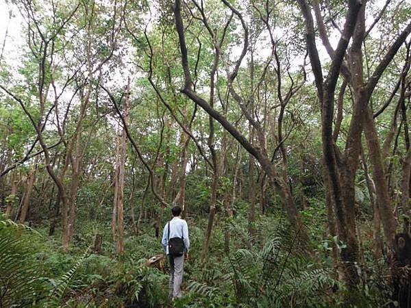 鵠鵠崙.東山瀑布.石門峽谷 018