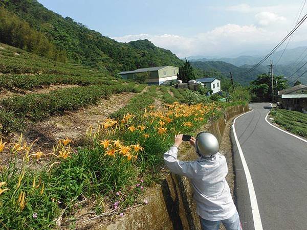 鱷魚頭.小格頭獅頭山 004