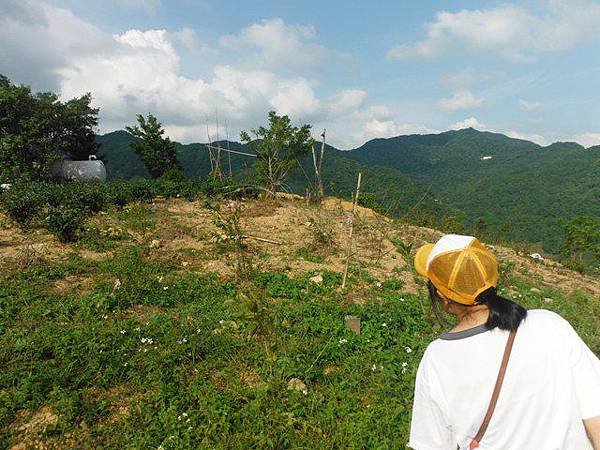 鱷魚頭.小格頭獅頭山 050