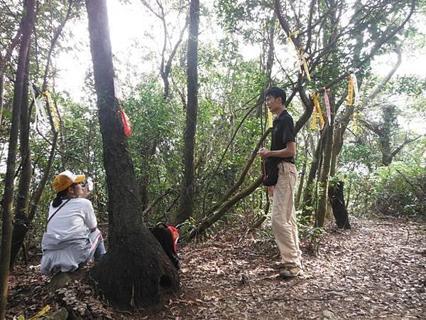 鱷魚頭.小格頭獅頭山 062