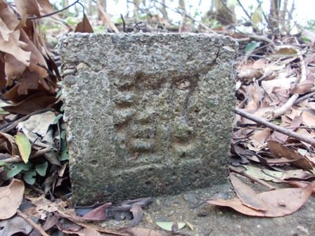 雲海山.大格門古道 041