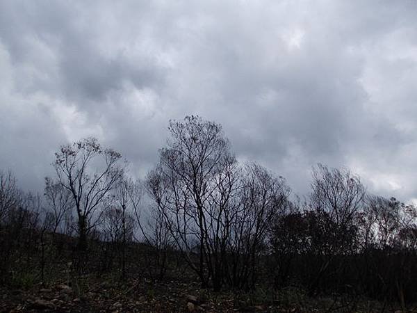 丹鳳山 032
