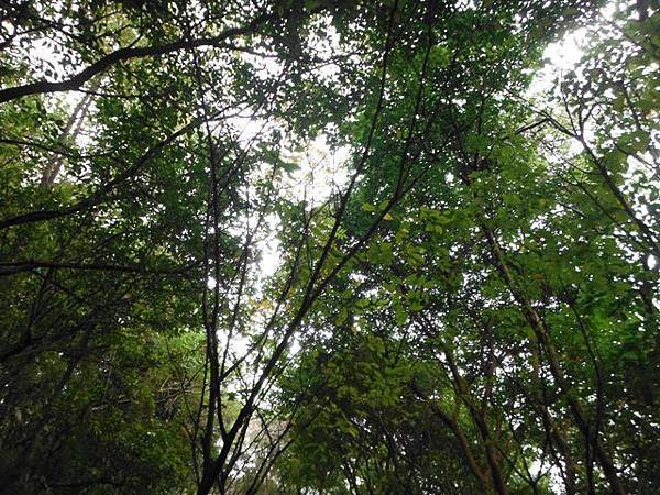 福州山公園.中埔山 039