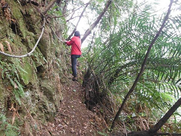 大尖山瀑布.大尖山 084