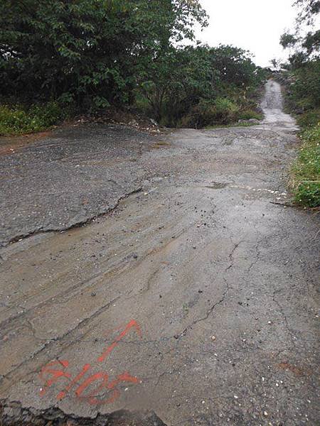 八里國小御大禮記念樹.龜馬山.台北縣政府三角點374015.八里渡船頭 090