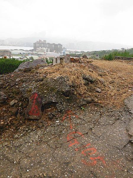 八里國小御大禮記念樹.龜馬山.台北縣政府三角點374015.八里渡船頭 092