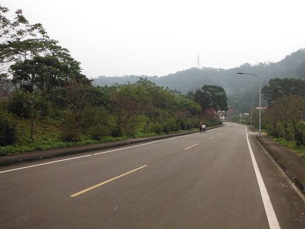 姐姐寶藏巖.花園新城賞櫻.癮水圳道步道.屈尺古道.櫻花街.東聖宮.五十六份登山步道 035