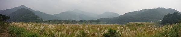 姐姐寶藏巖.花園新城賞櫻.癮水圳道步道.屈尺古道.櫻花街.東聖宮.五十六份登山步道 042