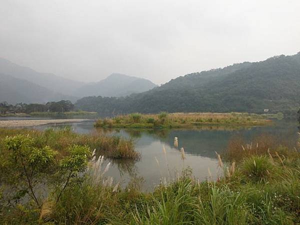 姐姐寶藏巖.花園新城賞櫻.癮水圳道步道.屈尺古道.櫻花街.東聖宮.五十六份登山步道 047